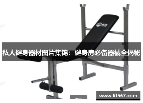 私人健身器材图片集锦:健身房必备器械全揭秘